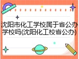 沈阳市化工学校属于省公办学校吗(沈阳化工校省公办)