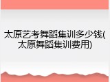 太原艺考舞蹈集训多少钱(太原舞蹈集训费用)