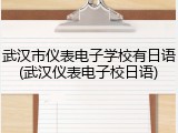 武汉市仪表电子学校有日语(武汉仪表电子校日语)