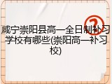 咸宁崇阳县高一全日制补习学校有哪些(崇阳高一补习校)
