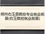 朔州右玉县数控专业就业前景(右玉数控就业前景)