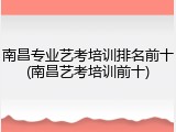 南昌专业艺考培训排名前十(南昌艺考培训前十)