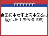 合肥初中考不上高中怎么办呢(合肥中考落榜出路)