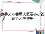 编导艺考费用大概要多少钱(编导艺考费用)