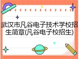 武汉市凡谷电子技术学校招生简章(凡谷电子校招生)