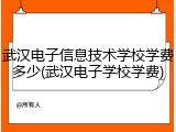 武汉电子信息技术学校学费多少(武汉电子学校学费)