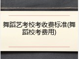 舞蹈艺考校考收费标准(舞蹈校考费用)