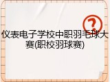 仪表电子学校中职羽毛球大赛(职校羽球赛)