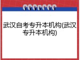 武汉自考专升本机构(武汉专升本机构)