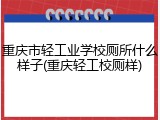 重庆市轻工业学校厕所什么样子(重庆轻工校厕样)