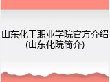 山东化工职业学院官方介绍(山东化院简介)