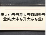 电大中专自考大专有哪些专业(电大中专升大专专业)