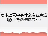 考不上高中学什么专业合适呢(中考落榜选专业)