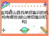 宝鸡岐山县找单招集训的机构有哪些(岐山单招集训机构)