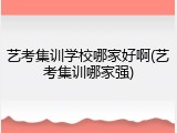 艺考集训学校哪家好啊(艺考集训哪家强)
