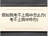 假如我考不上高中怎么办(考不上高中咋办)