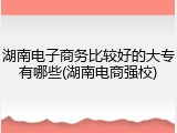 湖南电子商务比较好的大专有哪些(湖南电商强校)