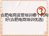 合肥电商运营培训哪个机构好(合肥电商培训优选)