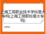 上海工商职业技术学校是大专吗(上海工商职校是大专吗)