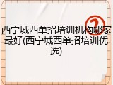 西宁城西单招培训机构哪家最好(西宁城西单招培训优选)