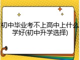初中毕业考不上高中上什么学好(初中升学选择)