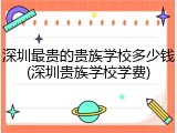 深圳最贵的贵族学校多少钱(深圳贵族学校学费)