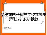 攀枝花电子科技学校在哪里(攀枝花电校地址)