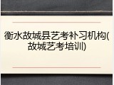 衡水故城县艺考补习机构(故城艺考培训)