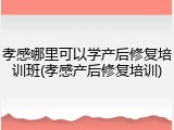 孝感哪里可以学产后修复培训班(孝感产后修复培训)