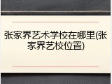 张家界艺术学校在哪里(张家界艺校位置)