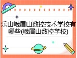 乐山峨眉山数控技术学校有哪些(峨眉山数控学校)