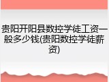 贵阳开阳县数控学徒工资一般多少钱(贵阳数控学徒薪资)