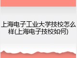 上海电子工业大学技校怎么样(上海电子技校如何)