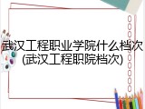 武汉工程职业学院什么档次(武汉工程职院档次)