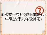 衡水安平县补习机构辅导九年级(安平九年级补习)