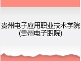 贵州电子应用职业技术学院(贵州电子职院)