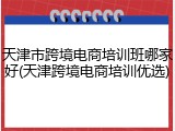 天津市跨境电商培训班哪家好(天津跨境电商培训优选)