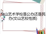 文山艺术学校是公办还是民办(文山艺校性质)