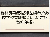 锡林郭勒苏尼特左旗单招数控学校有哪些(苏尼特左旗数控单招)