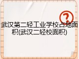 武汉第二轻工业学校占地面积(武汉二轻校面积)