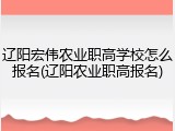 辽阳宏伟农业职高学校怎么报名(辽阳农业职高报名)