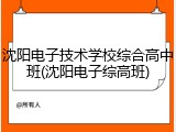 沈阳电子技术学校综合高中班(沈阳电子综高班)
