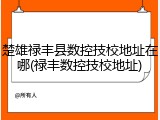楚雄禄丰县数控技校地址在哪(禄丰数控技校地址)