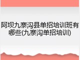 阿坝九寨沟县单招培训班有哪些(九寨沟单招培训)