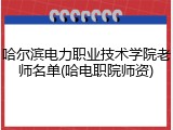 哈尔滨电力职业技术学院老师名单(哈电职院师资)