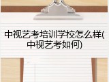中视艺考培训学校怎么样(中视艺考如何)