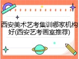 西安美术艺考集训哪家机构好(西安艺考画室推荐)