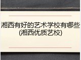 湘西有好的艺术学校有哪些(湘西优质艺校)