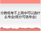 分数低考不上高中可以选什么专业(低分可选专业)