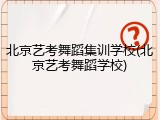 北京艺考舞蹈集训学校(北京艺考舞蹈学校)